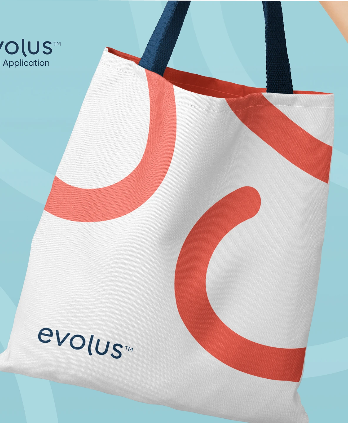 Étude de cas : -500k frais mensuels, CRM sur mesure